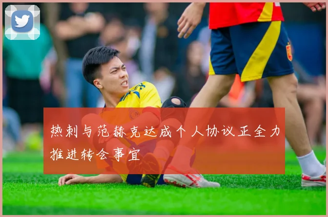 热刺与范赫克达成个人协议正全力推进转会事宜